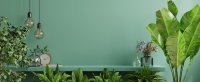 Nooit meer omkijken naar het groen in huis!