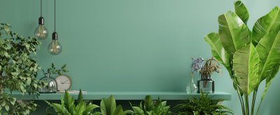 Nooit meer omkijken naar het groen in huis!